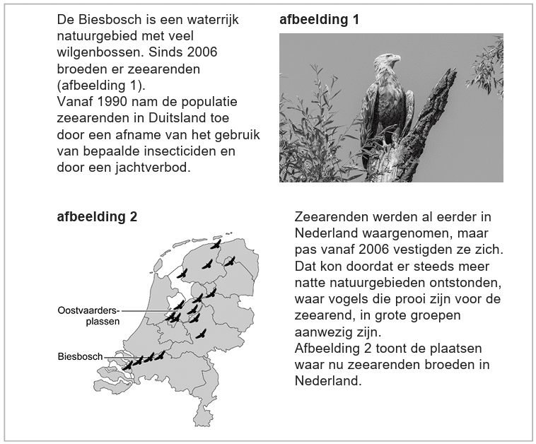 Zeearend 2025