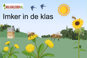 Imker in de klas