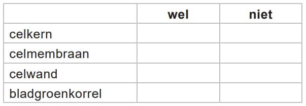 onderdelen van de cel tabel