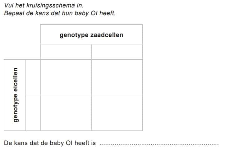 Kruising met kies