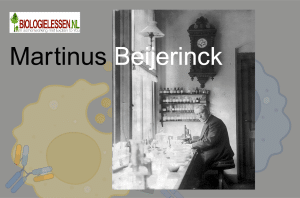 Martinus Beijerinck