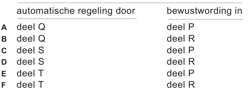 Zenuwstelsel antwoorden