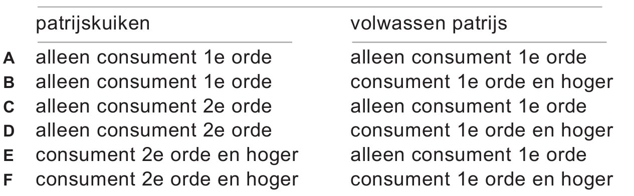 patrijs antwoorden